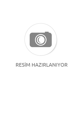 EMPORİO ARMANİ EA  4145 KADIN GÜNEŞ GÖZLÜĞÜ